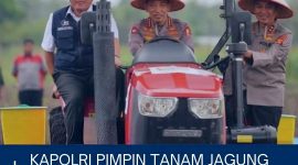 Oplus_16908288