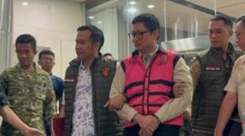 Oplus_16908288
